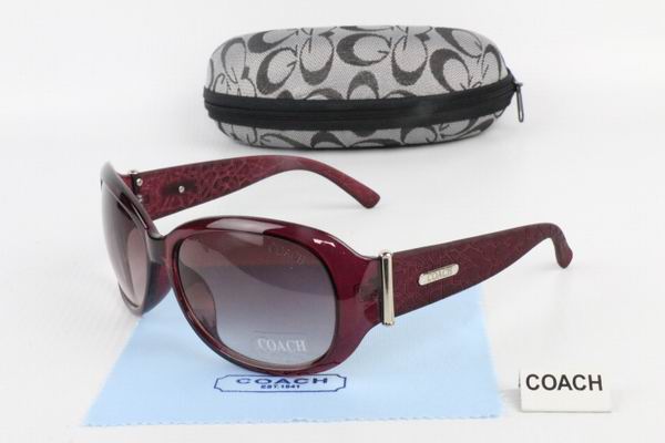 C0ACH Boutique Sunglasses 044